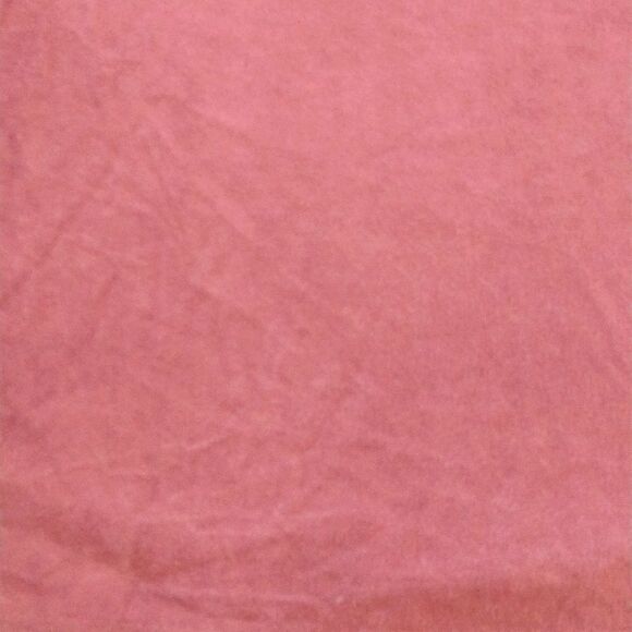 AEO Mauve Suede High Neck Lace Up Sides Crop Tank Top Large - Picture 2 of 16